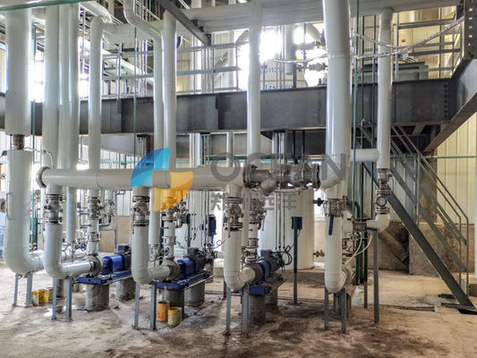 30-1500TPDを処理する前処理の植物オイル種を菜種油