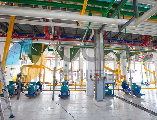 10-1000TPD脂肪種子の出版物の植物ISO9001の菜種油の出版物の省エネ